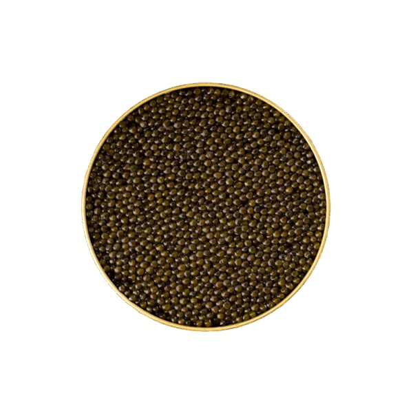 ROYAL PREMIUM - immagine 2